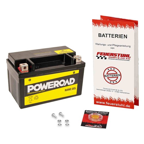 Gel batterie rex chopper 125 - chopper,